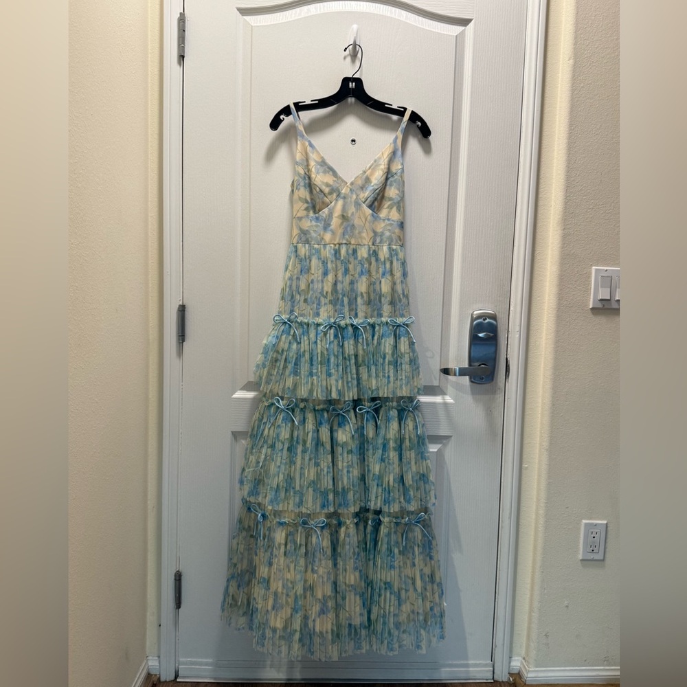 Hutch Watercolor Vining Daffodils Tulle  Dress Colors: Ivory/Sky Size 2 NWT - Picture 3 of 9